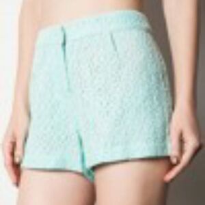 Umgee USA Teal Lace Shorts (Small)